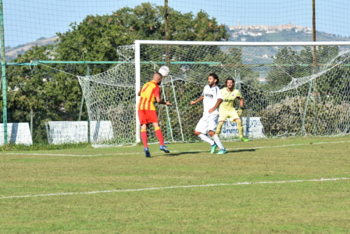 web 29-09-19 07